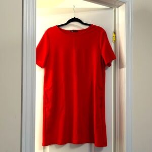 Zara cute shift dress in L